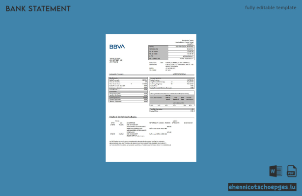Beispiel eines Kontoauszugs der mexikanischen BBVA-Bank (Vorschau)